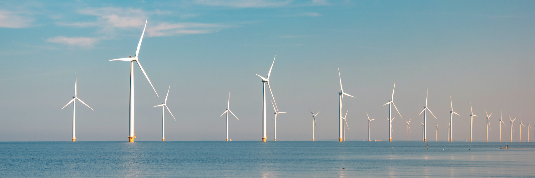 Windmills producing renewable energy while combating salt fog